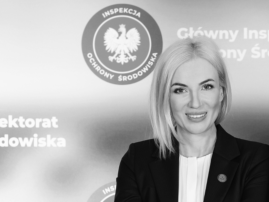 levinhart zdjęcia ofertowe (2)